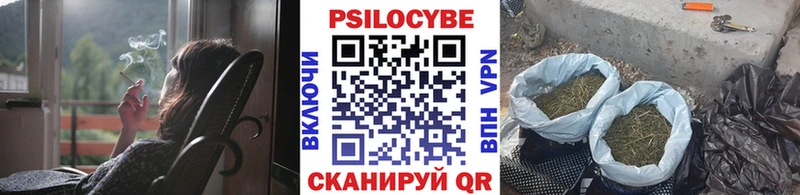 Псилоцибиновые грибы GOLDEN TEACHER  как найти наркотики  Хотьково 